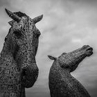 The Kelpies at the Helix