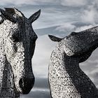 ...The Kelpies...