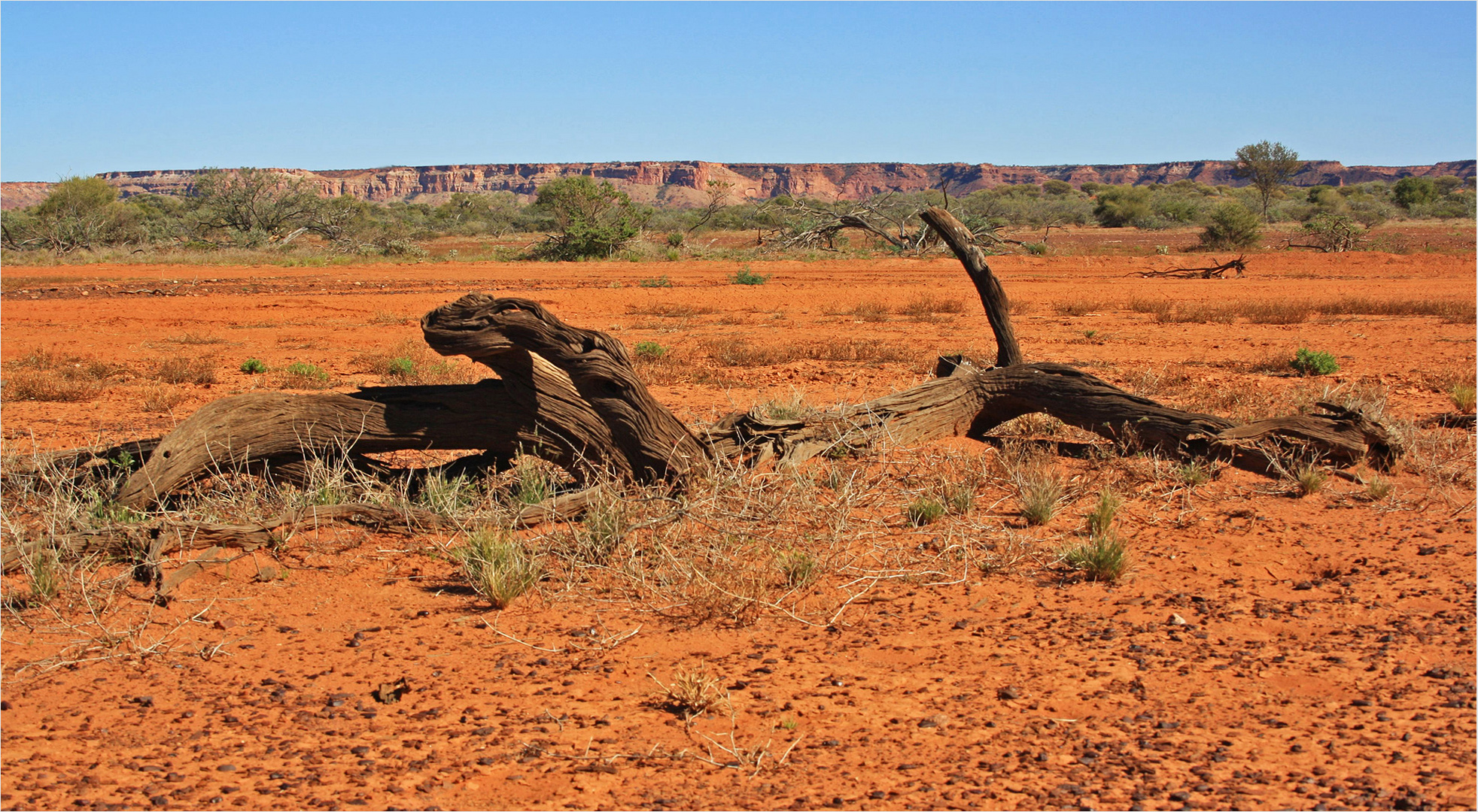 * The Kennedy Ranges / WA *