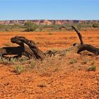 * The Kennedy Ranges / WA *