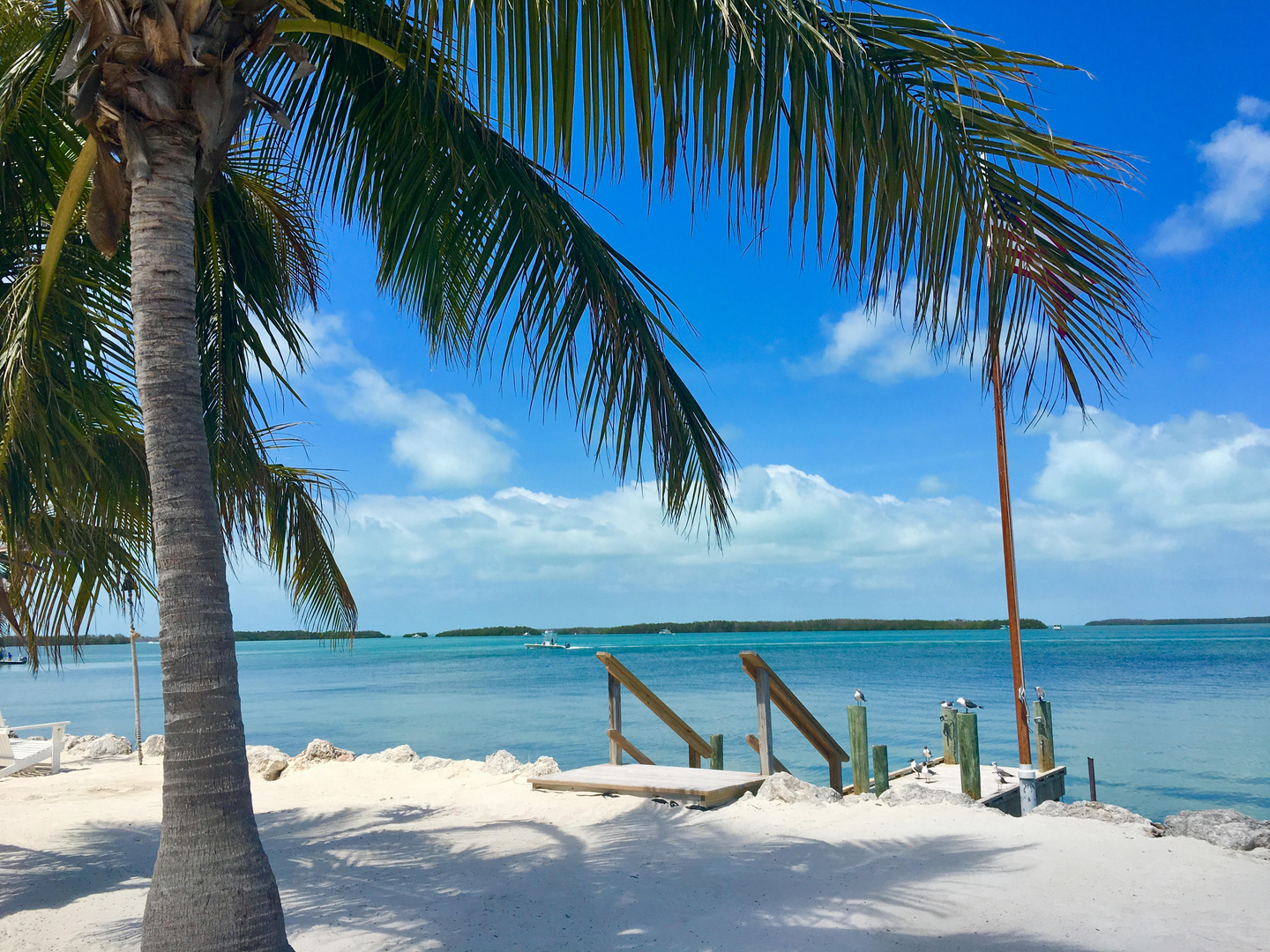The Keys Foto & Bild north america, united states, florida Bilder auf