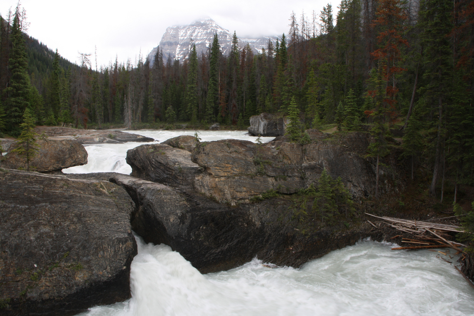 The Kicking Horse River Valley 01