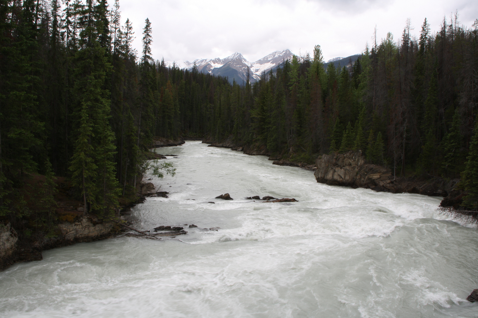 The Kicking Horse River Valley 02