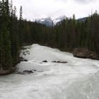 The Kicking Horse River Valley 02