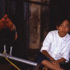 The kid and the rooster