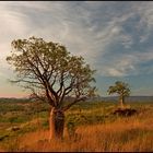 the Kimberleys