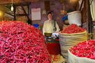 The king of chili pepper. de Matteo Maurizio Mauro 