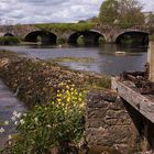 The Kings River Bridge of Kells