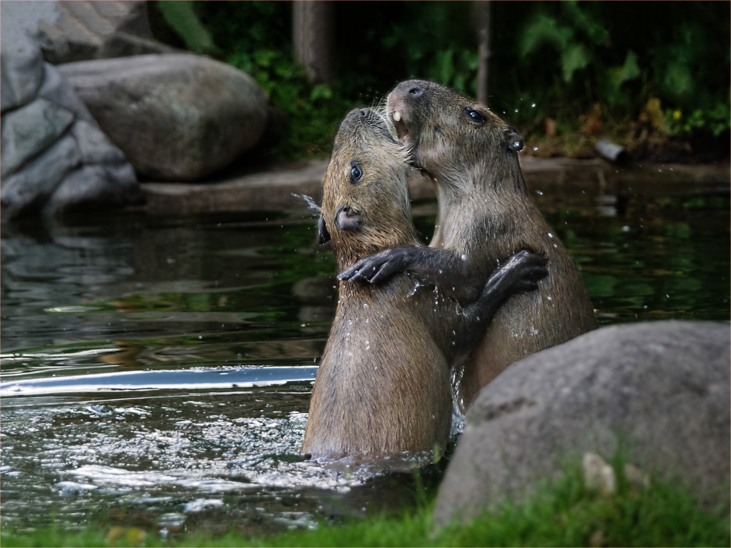 The Kiss