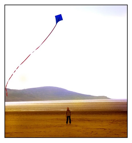 the kite