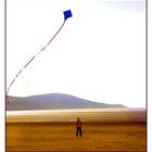 the kite