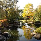 The Kyoto Gardens