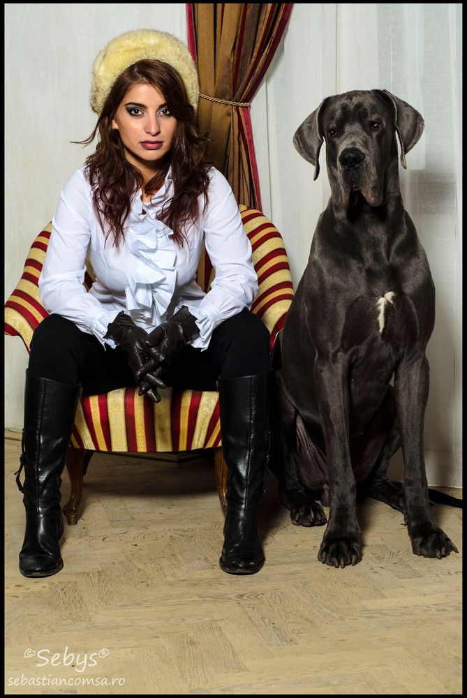 The Lady and the Great Dane