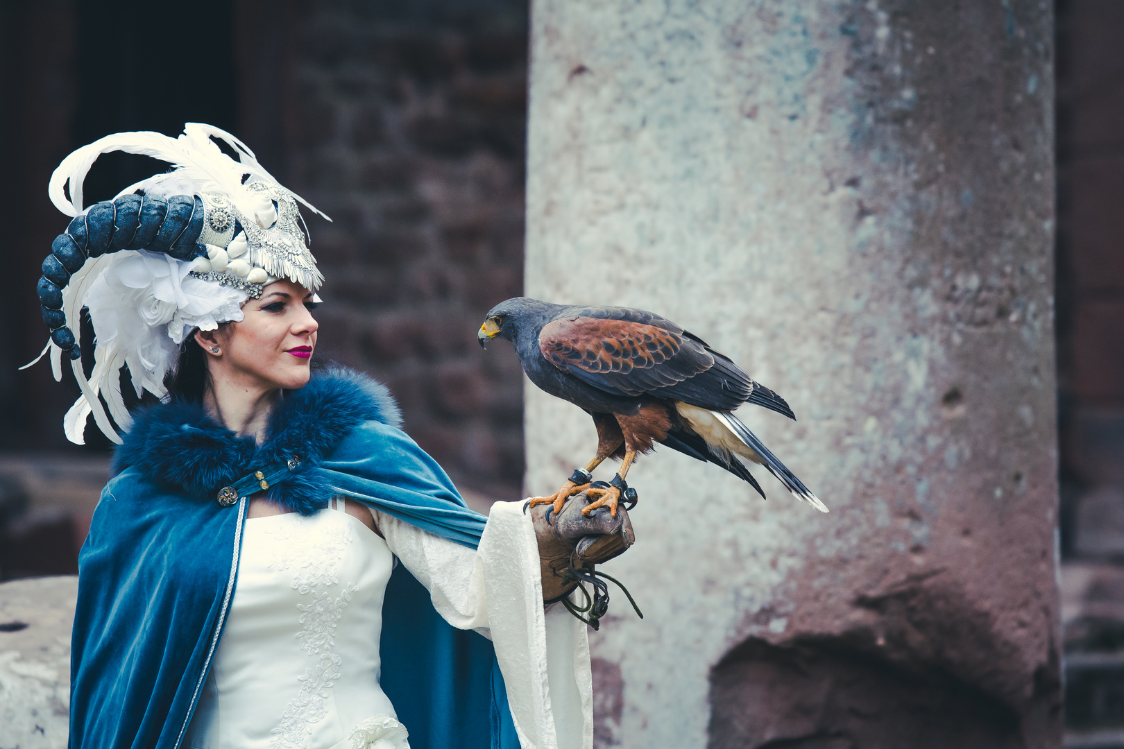 The Lady and the Harris`s Hawk