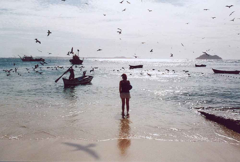 the lady and the sea