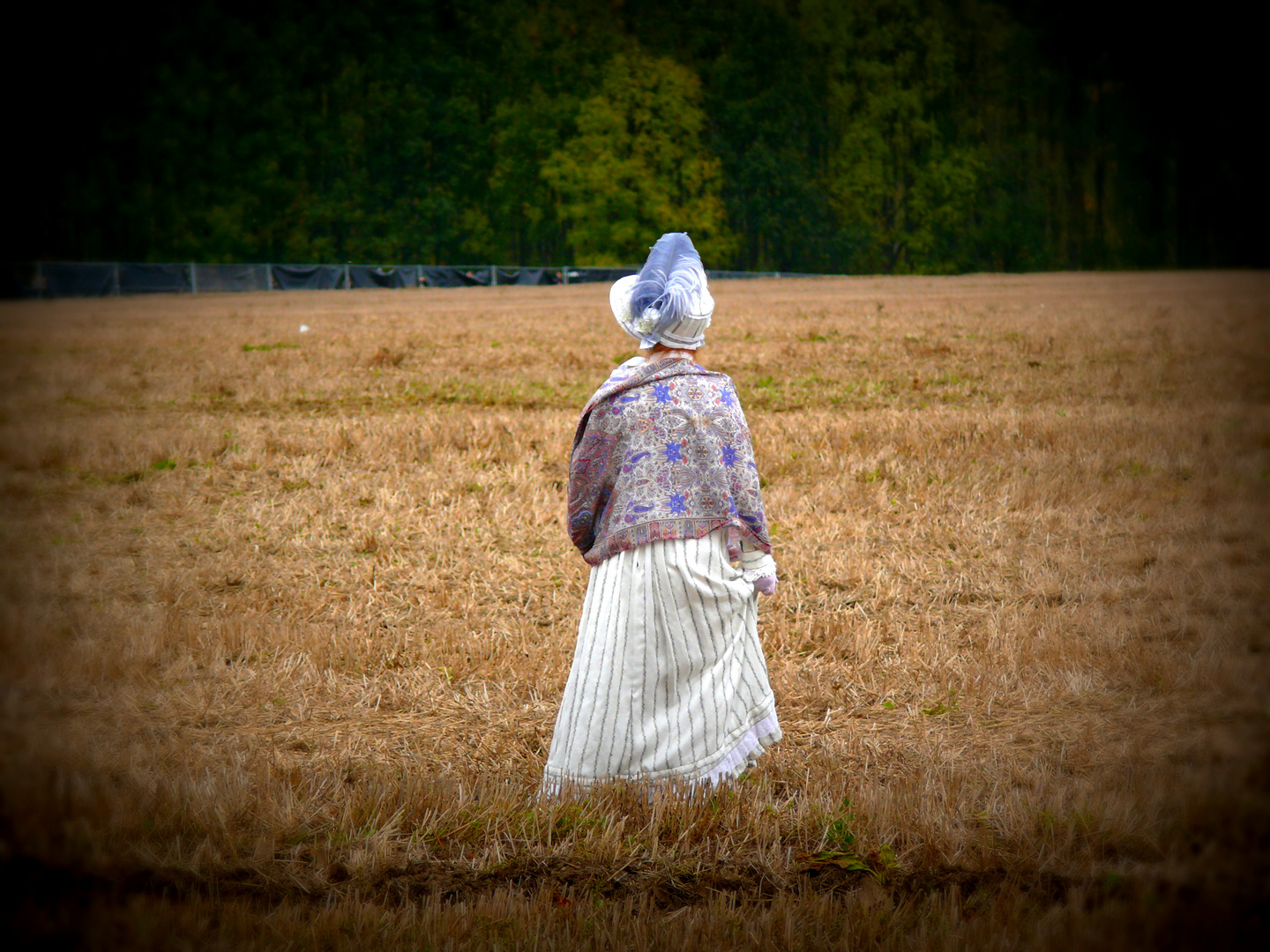 The Lady on the field