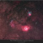 the lagoon and the trifid