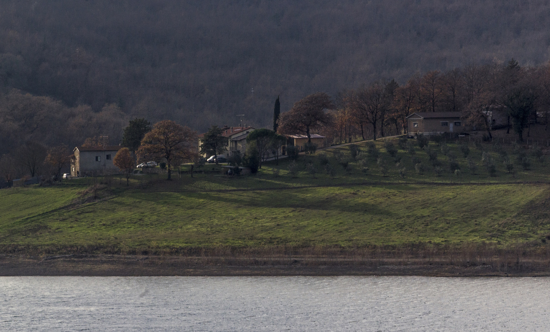 The lake house