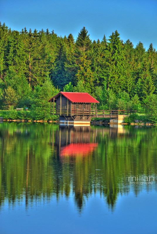 The Lake House