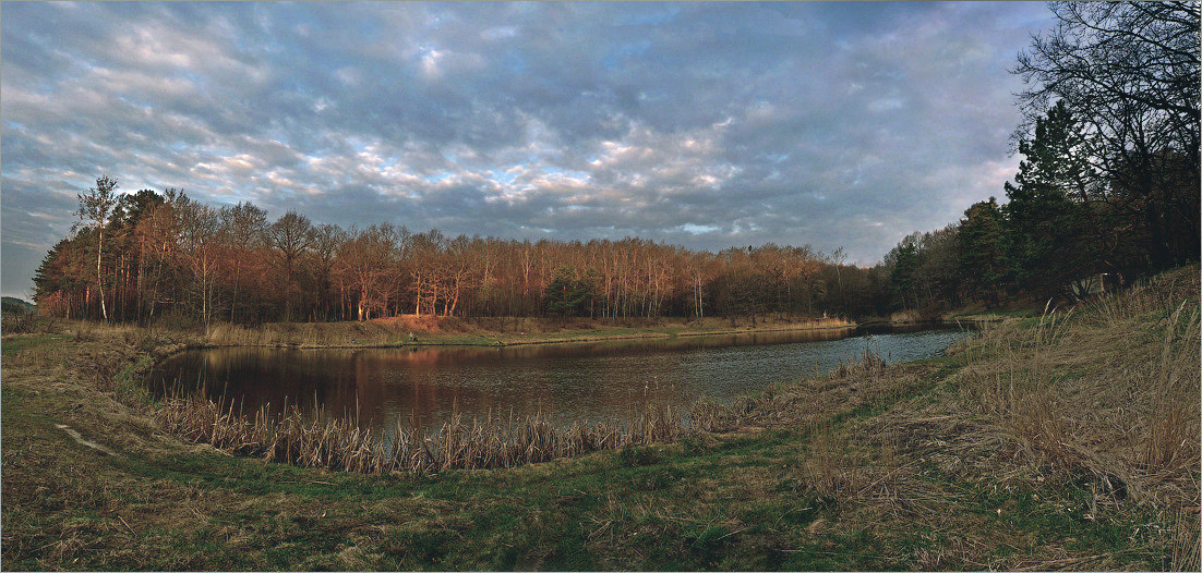 The lake in the woods