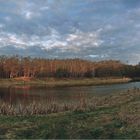 The lake in the woods