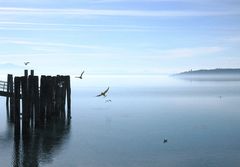 the lake in winter 2