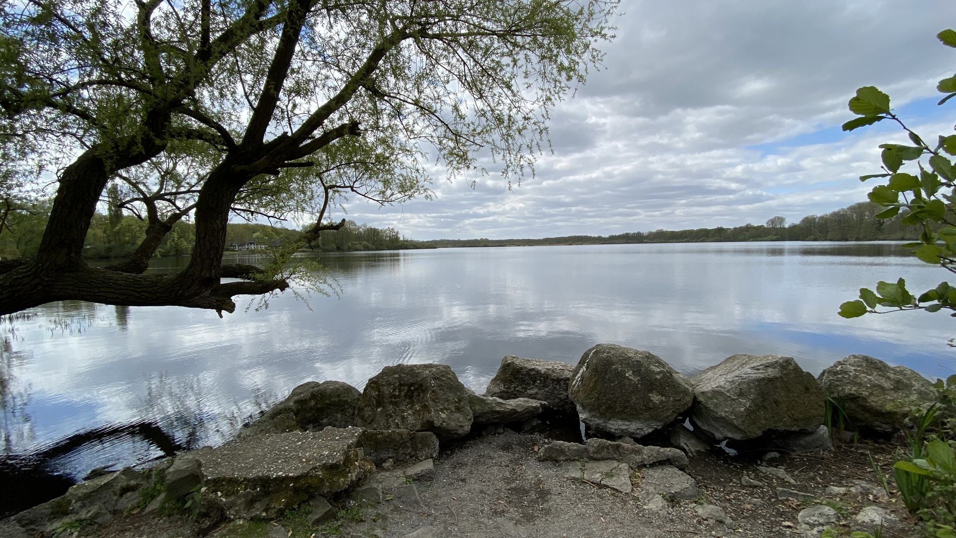 „The Lake“ Krickenbecker See 