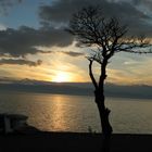 The lake of Ohrid