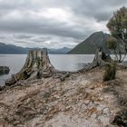 The lakeside on Mackintosh