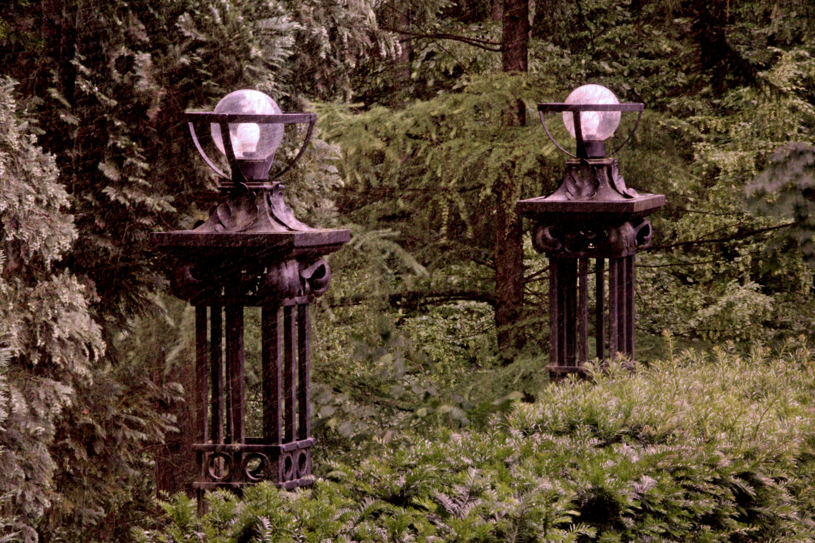 The lamps of paradise