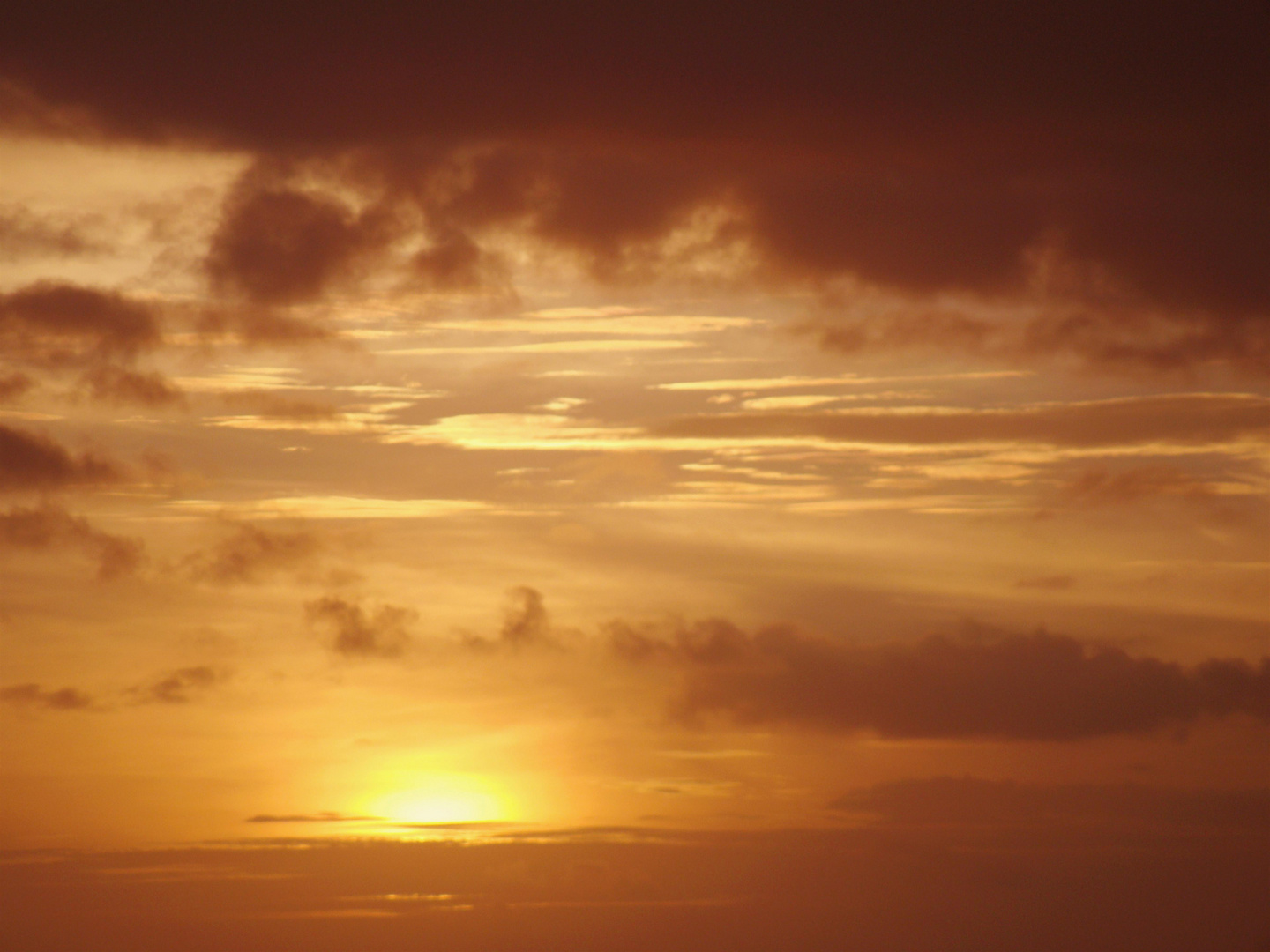 The land and the sky