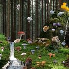 The Land of Mystic Fungi