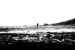 the landing net carrier