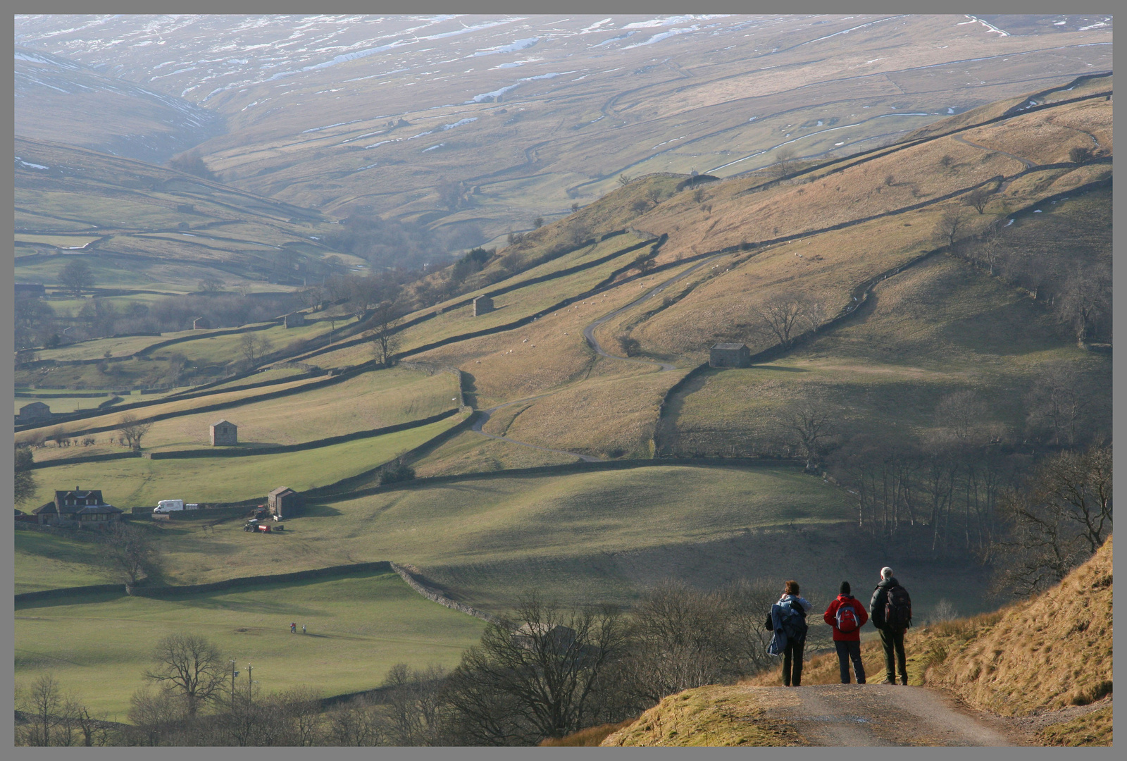 the lane above muker, upper swaledale