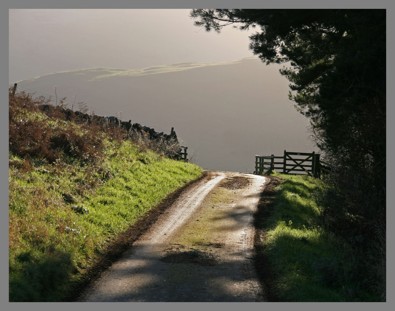 the lane down from crookhouse Northumberland