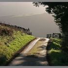 the lane down from crookhouse Northumberland