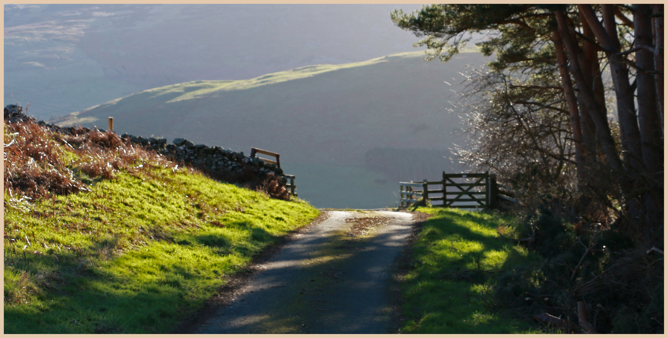 the lane from Crookhouse 4