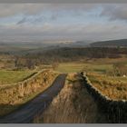 the lane from Ridsdale to chesterhope