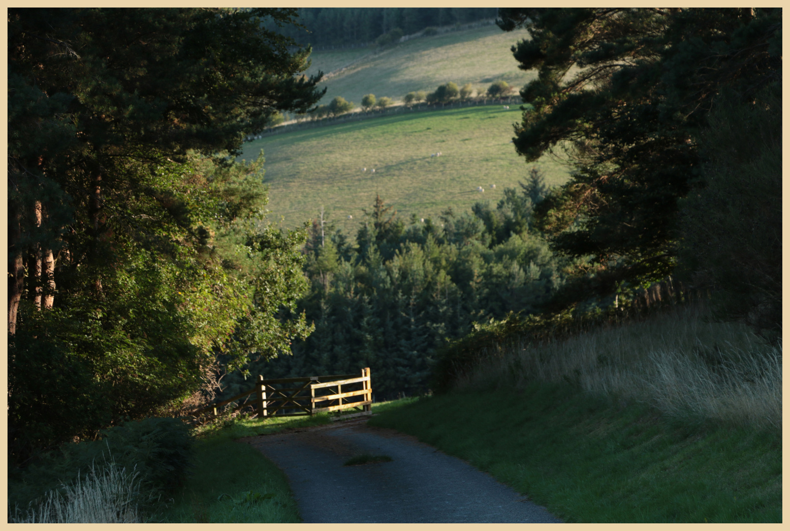 the lane to crookhouse 2