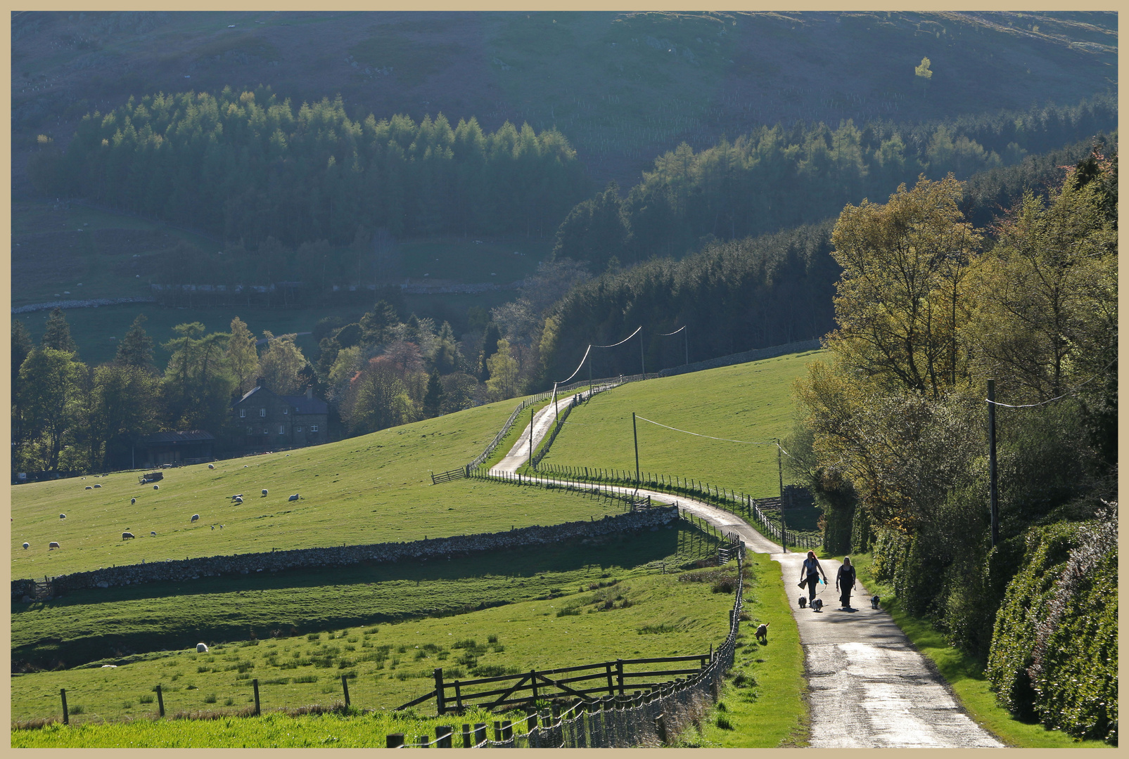 the lane to Linhope 4