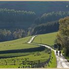 the lane to Linhope 4