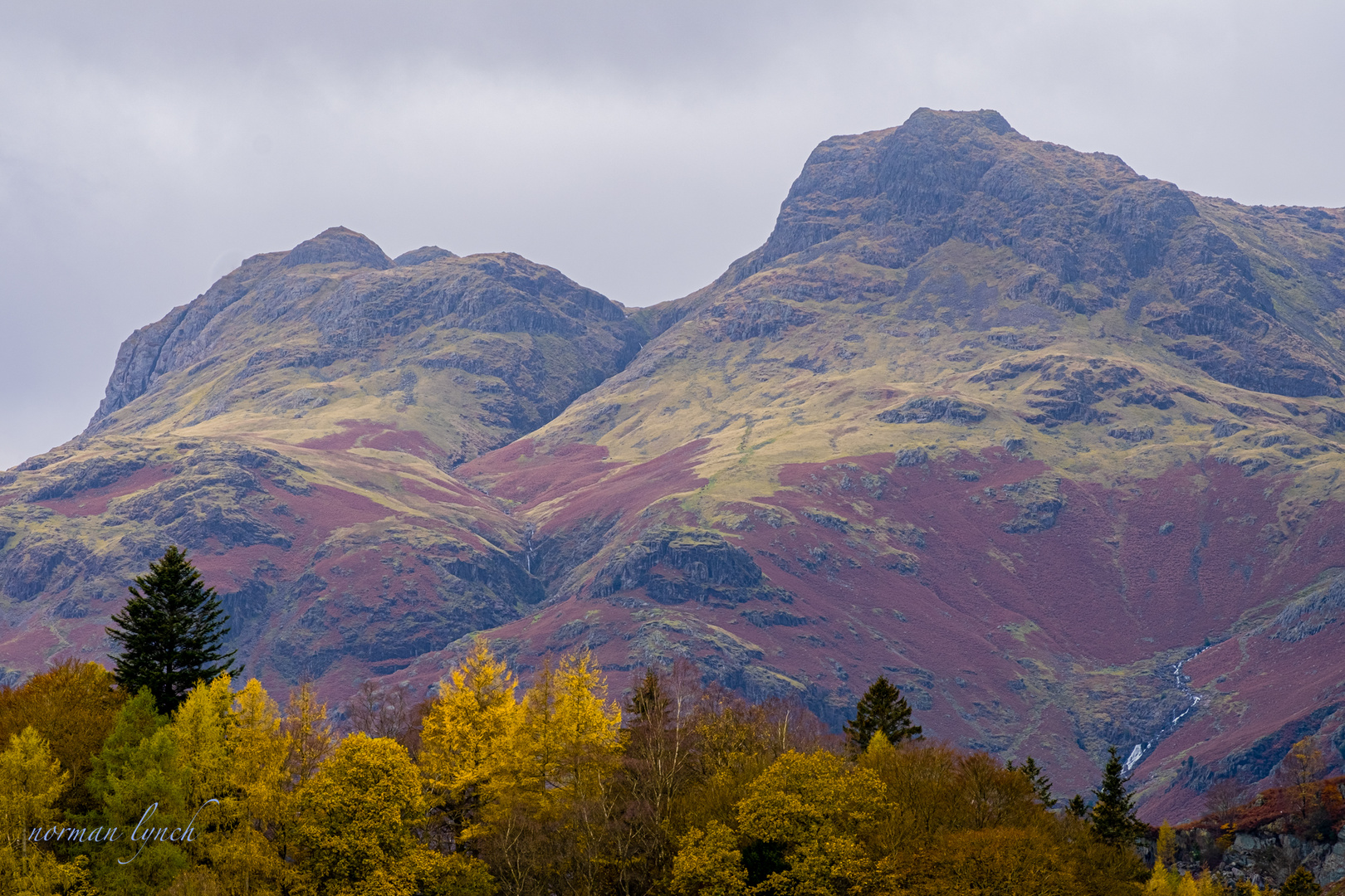   The Lang-dale Fells