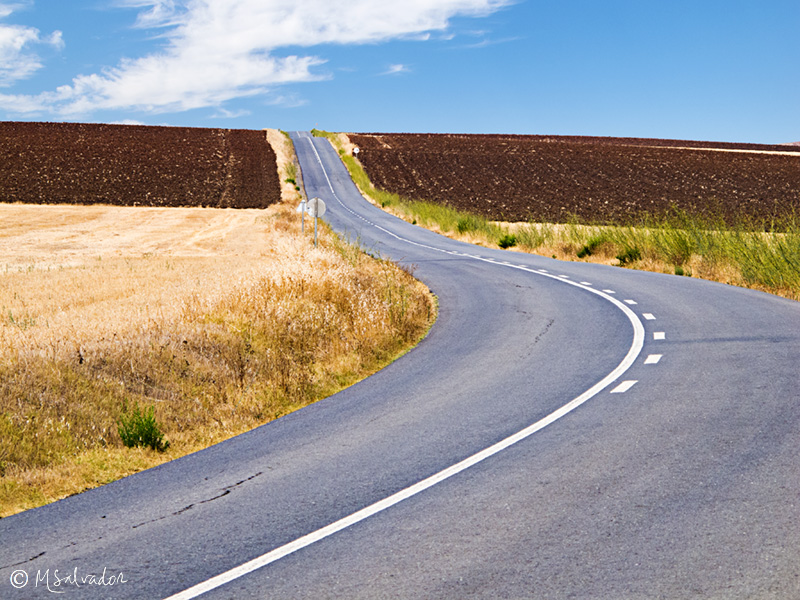 The large road