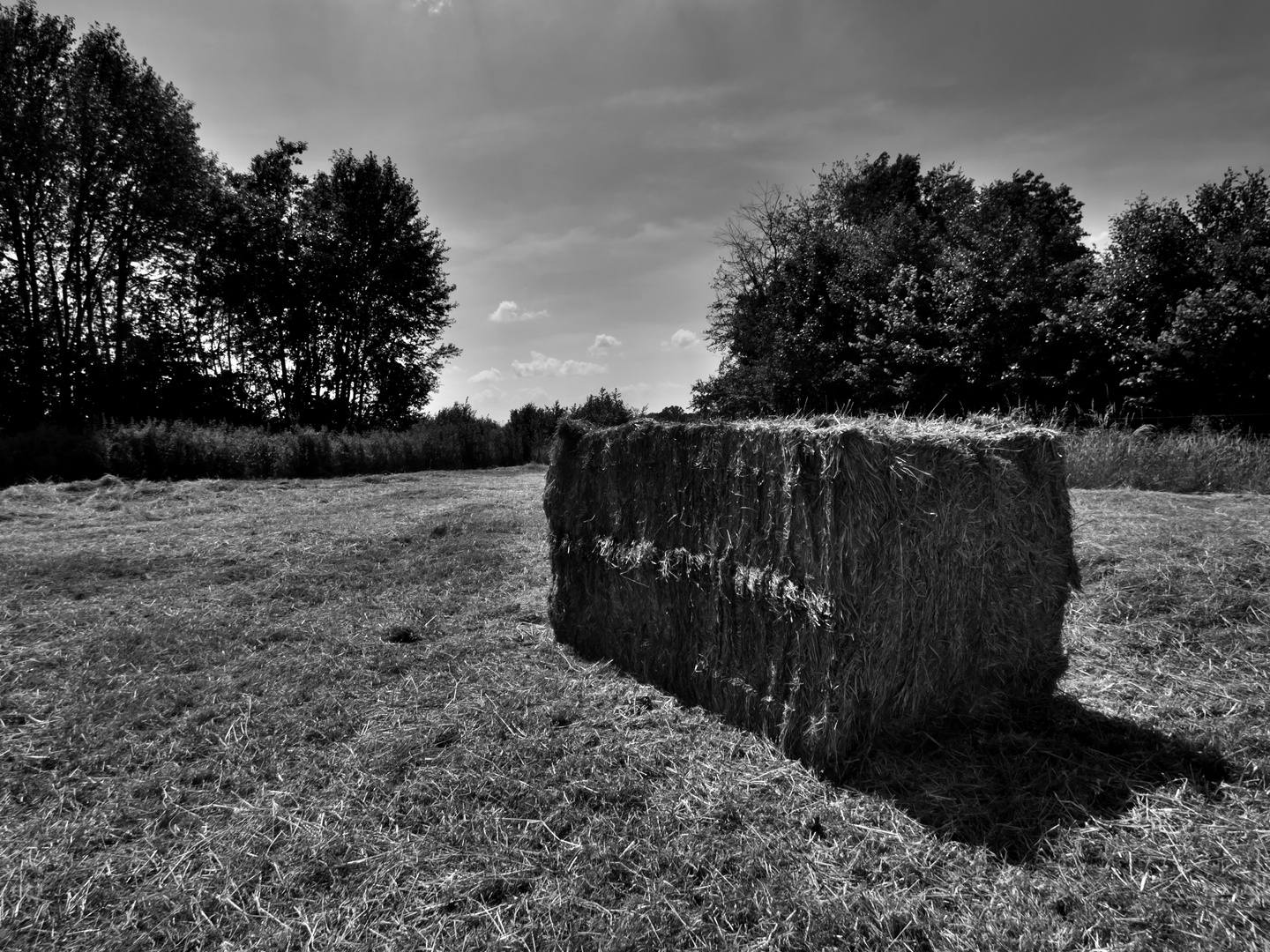 The last bale of hay of summer 2.