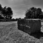 The last bale of hay of summer 2.