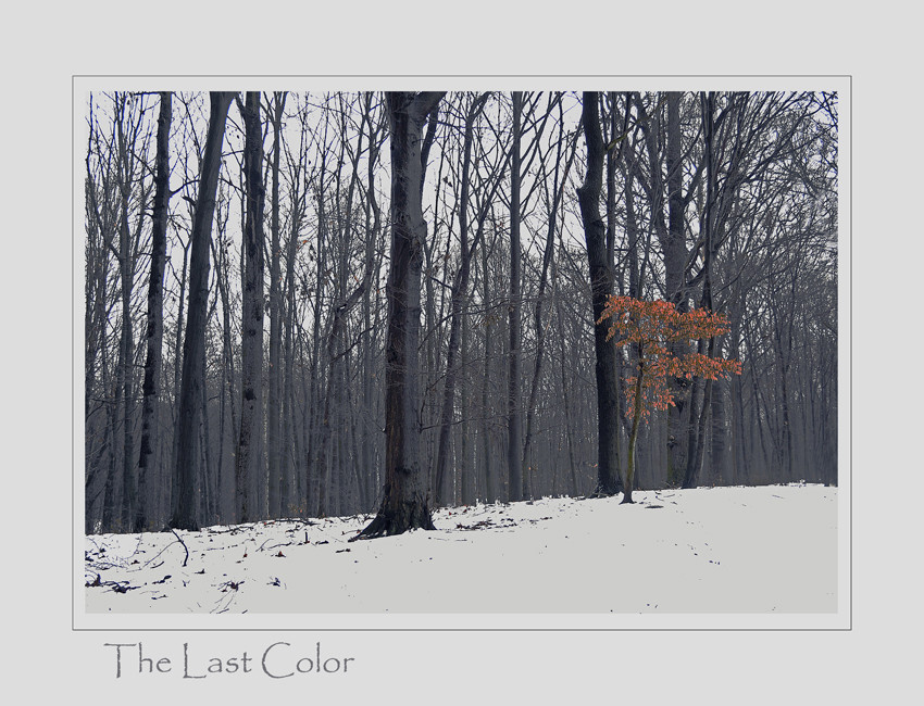 The Last Color