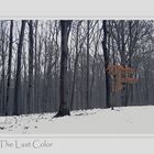 The Last Color