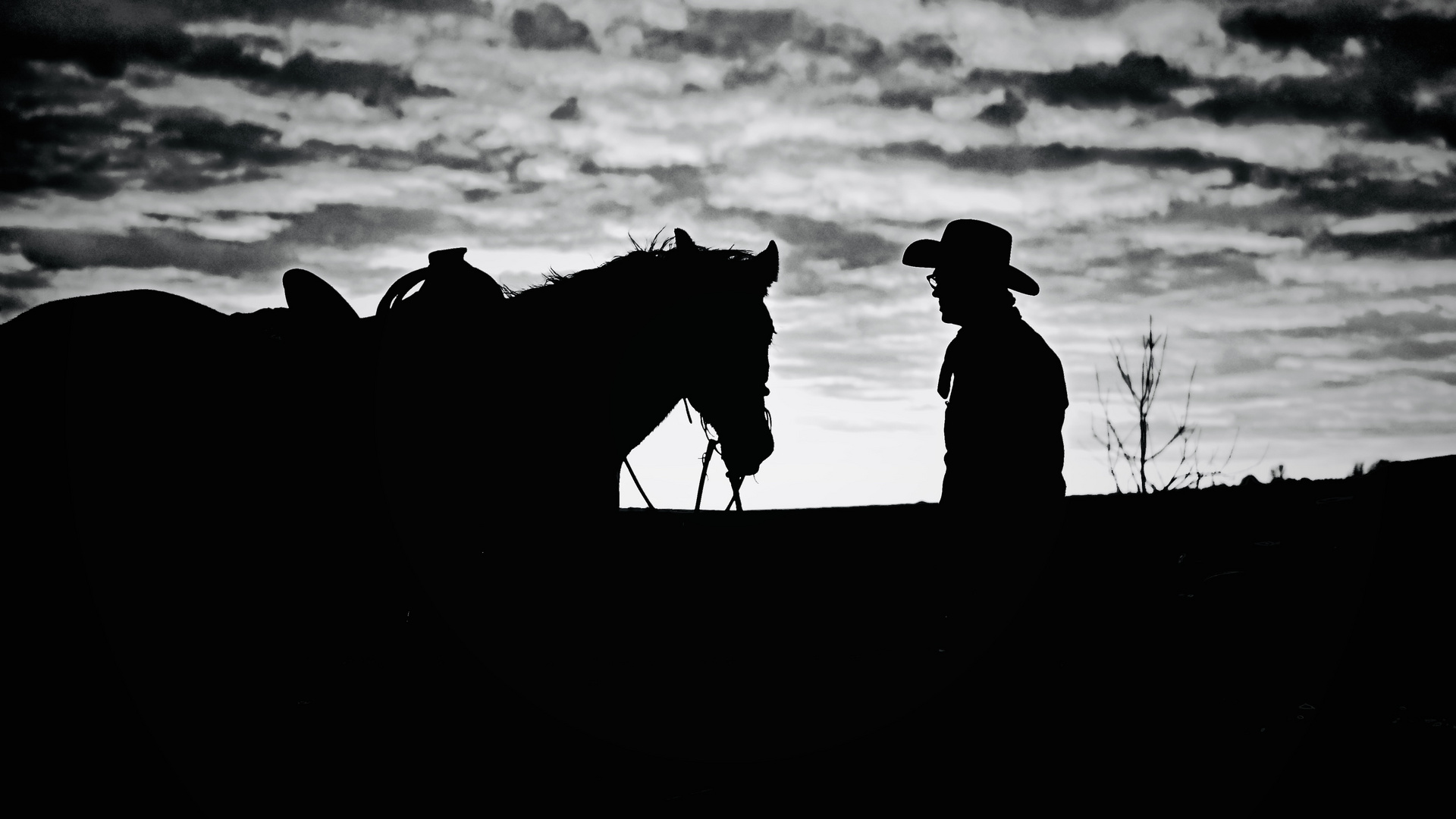 the last cowboy