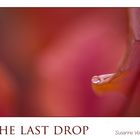 the last drop