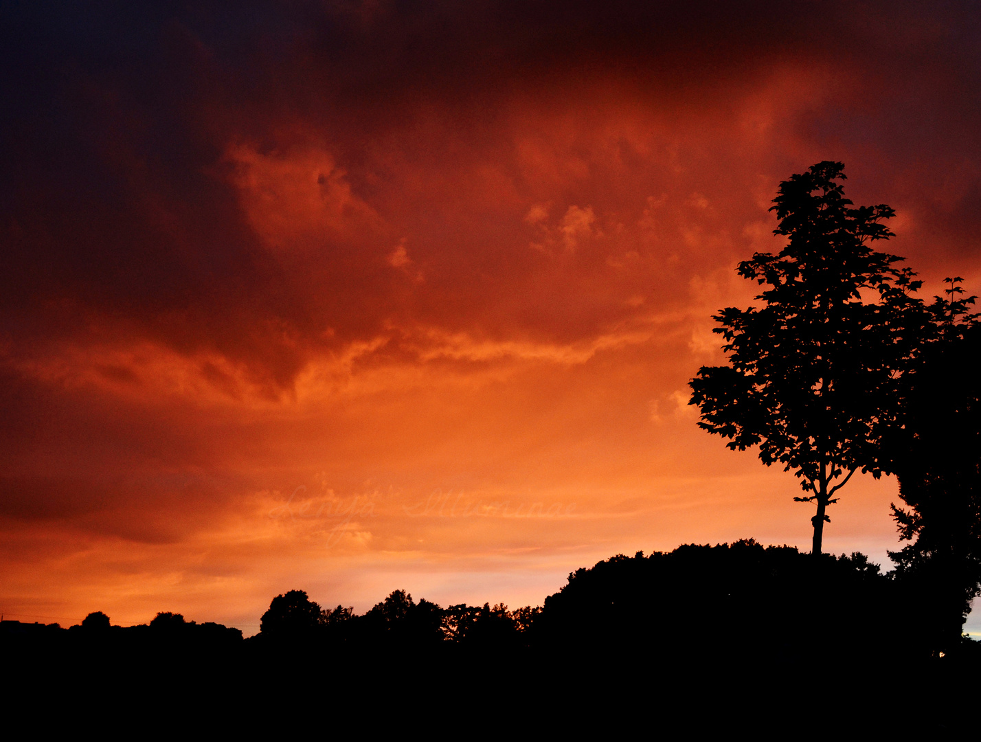 the last light of the day